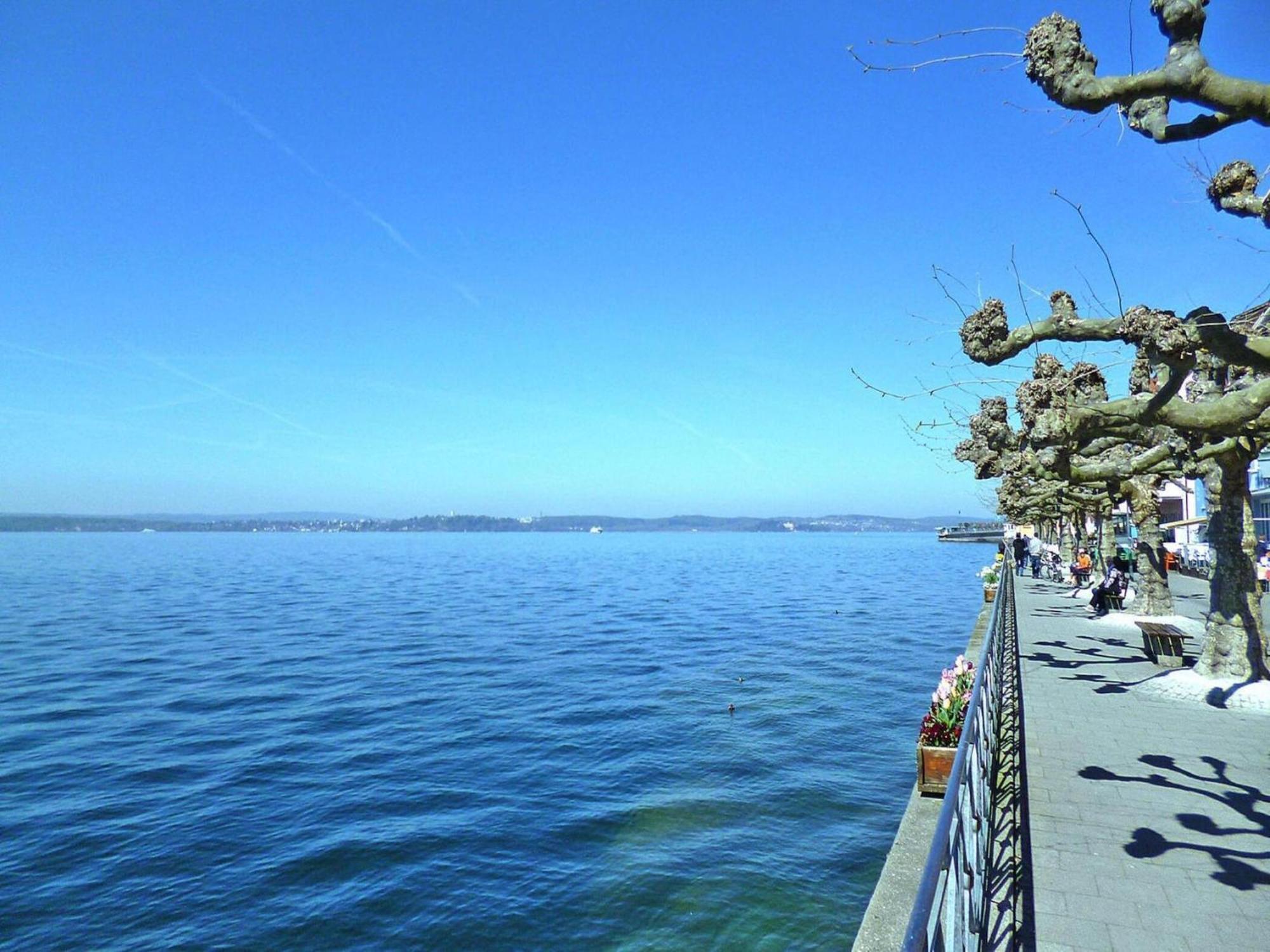 Apartment Bears, Meersburg Dış mekan fotoğraf